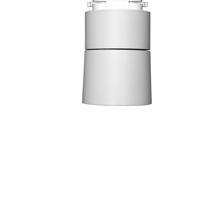 자이 리딩 스포트