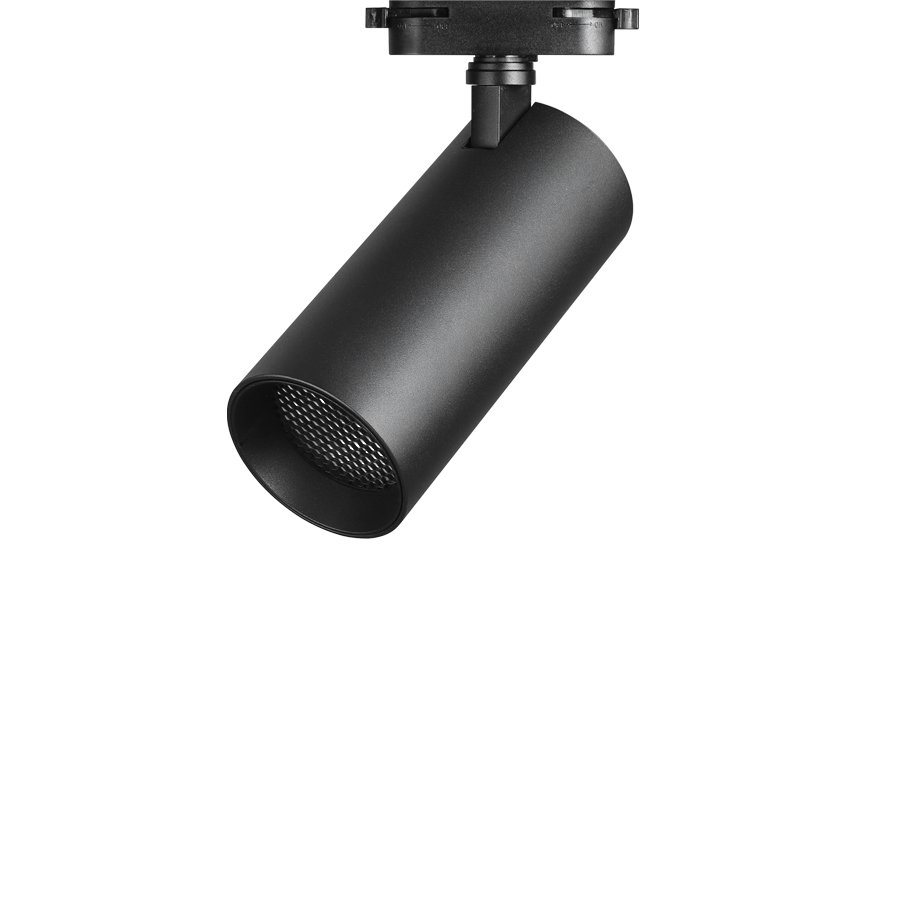 70파이 테리 스포트