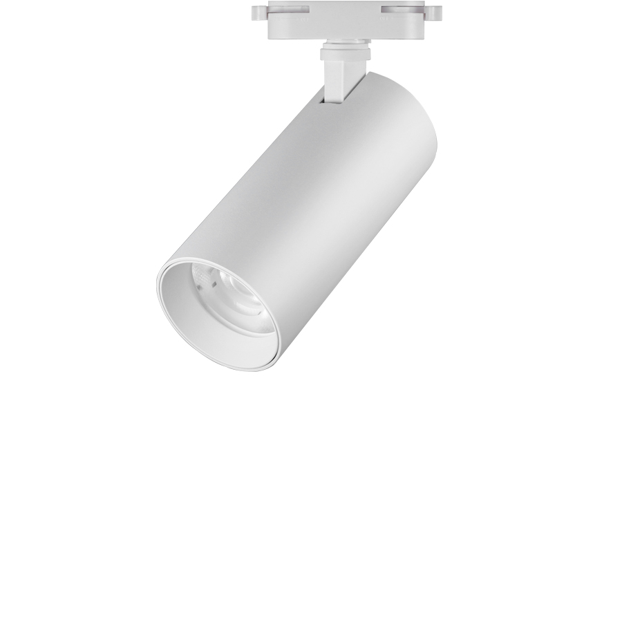 70파이 테리 스포트