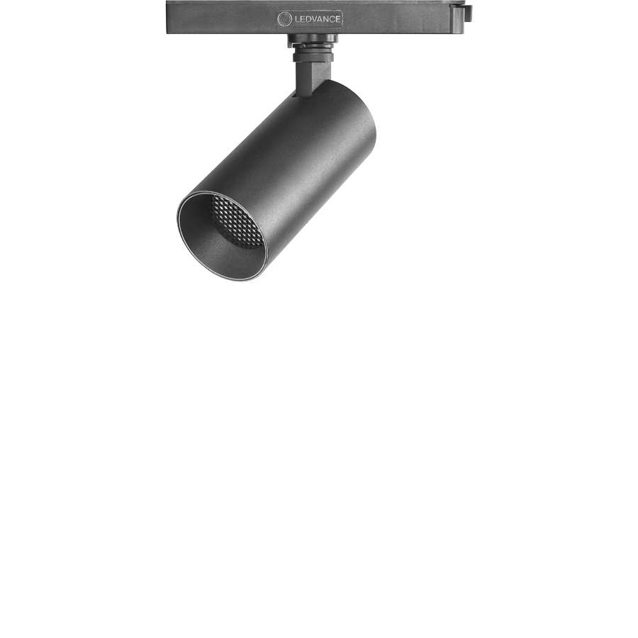 바인드 인트랙 스포트